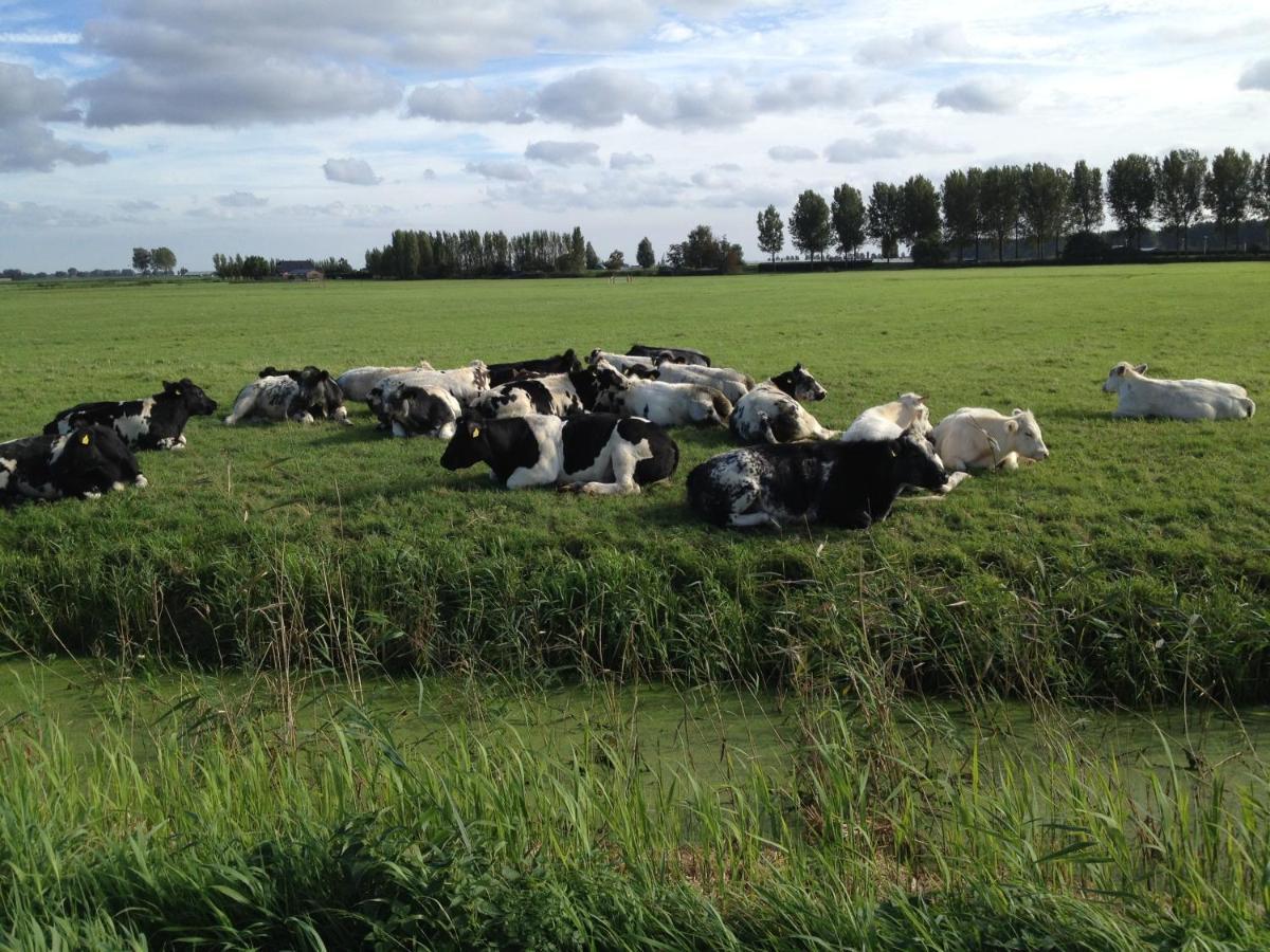 Benb Voorneputten Simonshaven エクステリア 写真